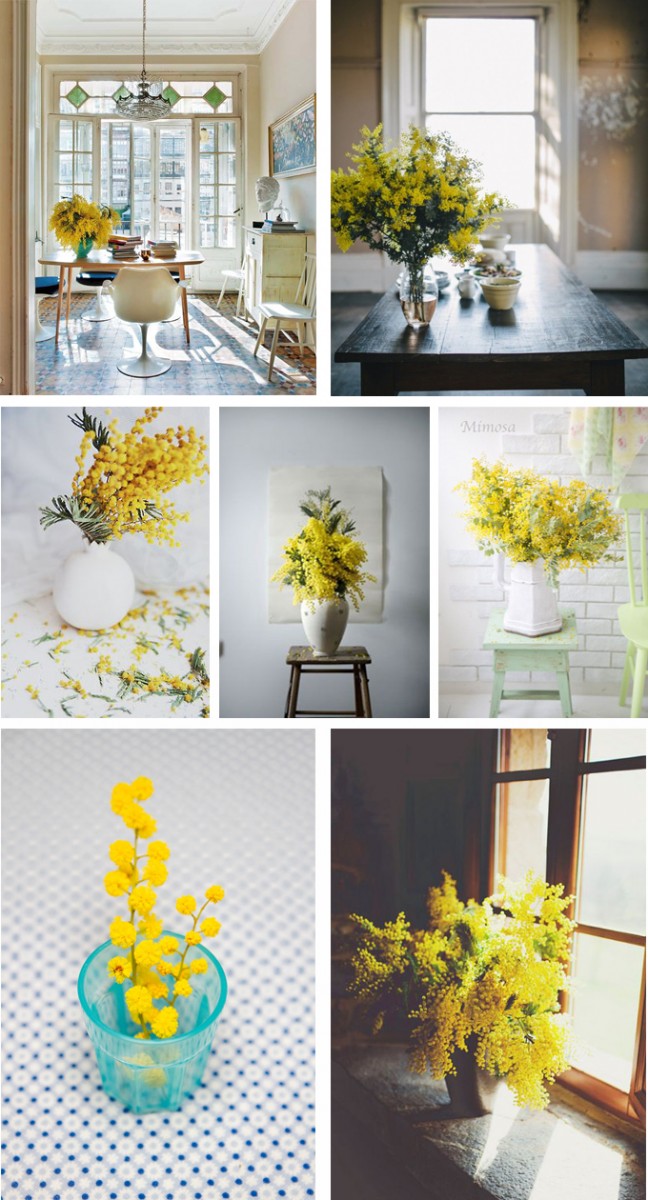 Inspiración mimosas